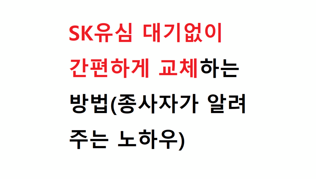SK유심 대기없이 간편하게 교체하는 방법(종사자가 알려주는 노하우) 2 SK유심